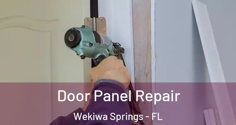  Door Panel Repair Wekiwa Springs - FL