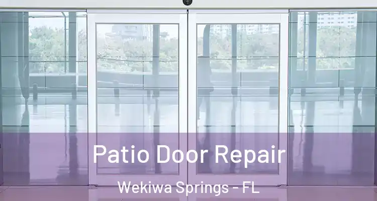 Patio Door Repair Wekiwa Springs - FL
