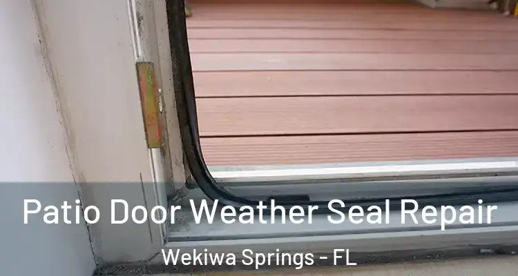  Patio Door Weather Seal Repair Wekiwa Springs - FL