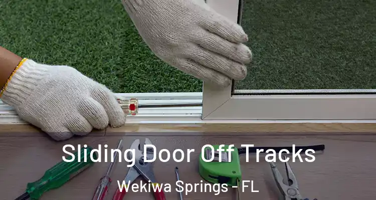  Sliding Door Off Tracks Wekiwa Springs - FL