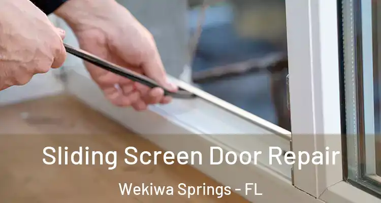  Sliding Screen Door Repair Wekiwa Springs - FL